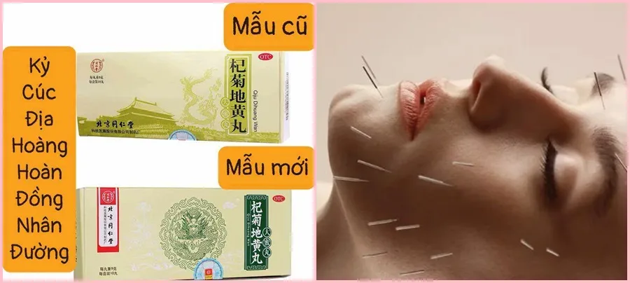 cam-nang-chua-benh-tien-dinh-hieu-qua-nam-2026-ab1